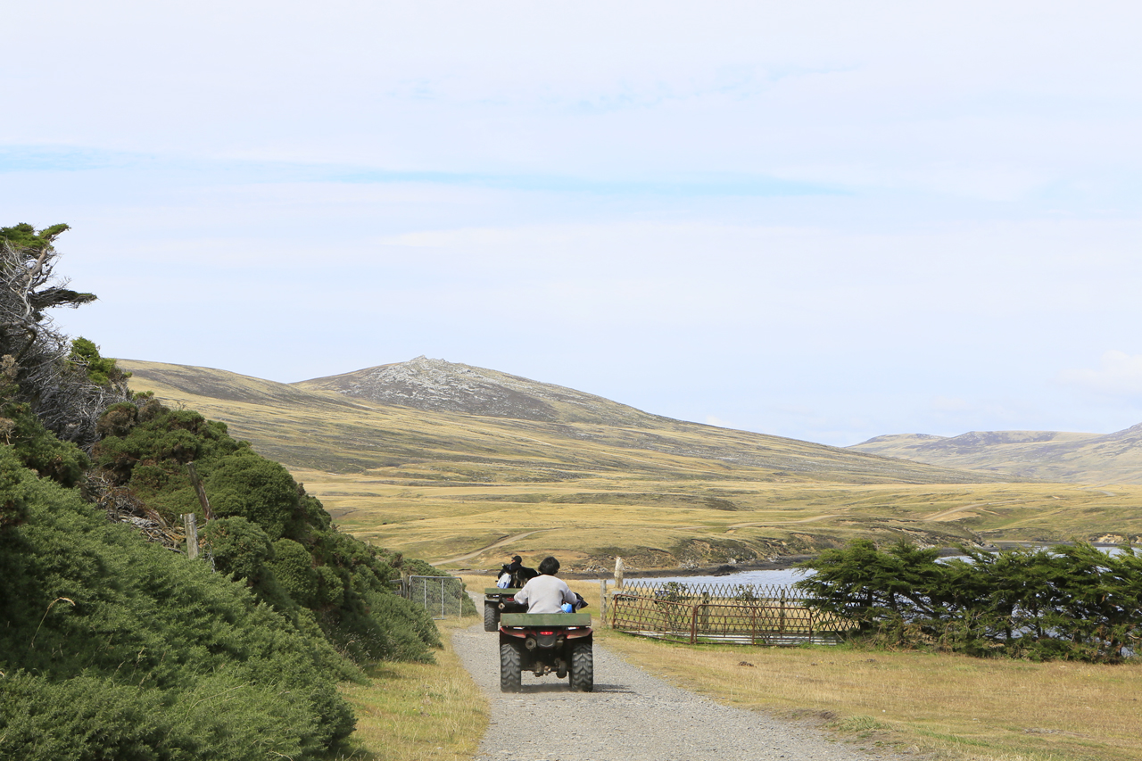 Falkland Islands Meat Company