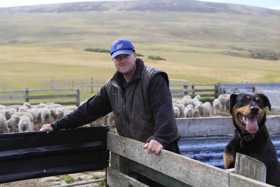 Falkland Islands Meat Company